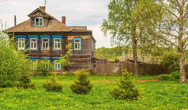 민들레와 잔디에 주택과 정원농촌 — 스톡 사진