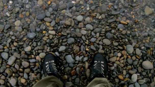 Hemlösa Röd katt gäspar och drar upp, bakgrunden - stranden — Stockvideo