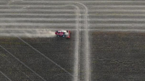 Maszyna do zbioru maszyn pracujących w terenie. Widok z góry z Drone Kombajn zbożowy maszyna rolnicza jeździć w dziedzinie suszonego słonecznika. — Wideo stockowe