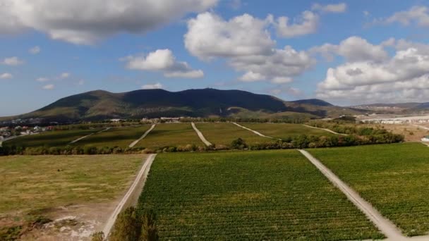 Ett berg med Radarreflektorer ovanpå och vingårdar nedanför. Skytte från Done. vackert och ovanligt landskap — Stockvideo