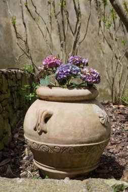 bir bahçe çiçekli vazo