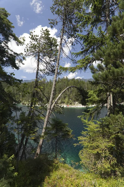 Lac Dans Les Bois Dans Les Alpes Bavaroises Allemagne — Photo
