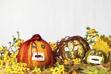 Cadılar Bayramı için üç çirkin ve korkunç kabaklar