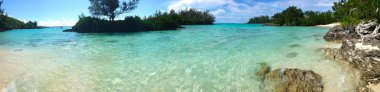 Bermuda, gibbons bay beach