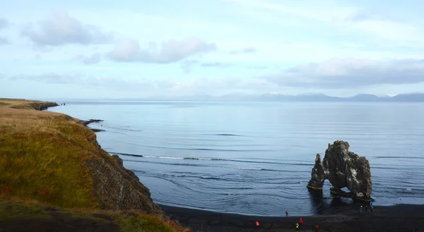 Θάλασσα Στοίβα Στο Hvtserkur Βόρεια Ισλανδία — Φωτογραφία Αρχείου