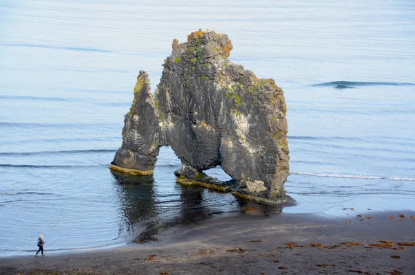 Море Стек Hvtserkur Північна Ісландії — стокове фото