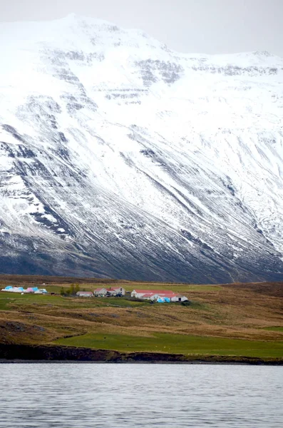 Kust Boerderij Eyjafjordur Noord Ijsland — Stockfoto