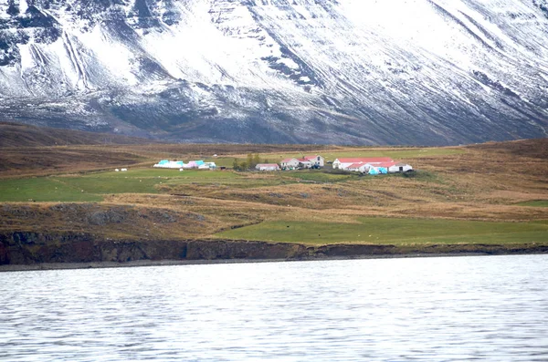 Wybrzeże Farmy Eyjafjordur Północna Islandia Zdjęcia Stockowe bez tantiem