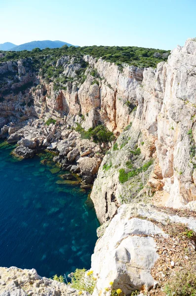 Costa Rocosa Punta Giglio Alghero Cerdeña Italia — Foto de Stock