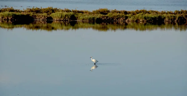 Agronegócio Sardenha Italia — Fotografia de Stock