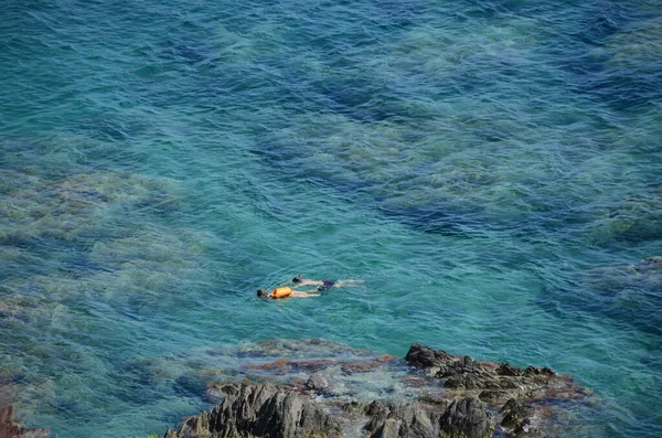 イタリアのサルビアで泳いでいます — ストック写真