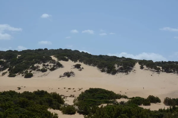 Sanddünen Bei Piscinas Sardinien Italien — Stockfoto