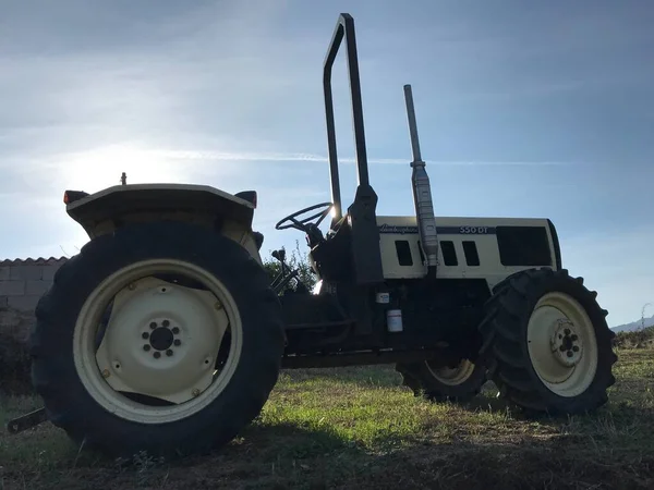 Sardunya 'da klasik Lamborghini 550DT traktörü
