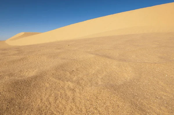 Paysage Désertique Dans Sahara Occidental — Photo