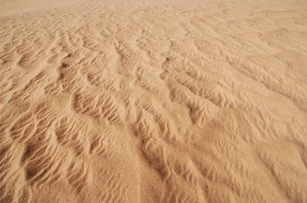 Paysage Désertique Dans Sahara Occidental — Photo