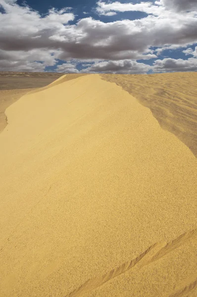 Paysage Désertique Dans Sahara Occidental — Photo