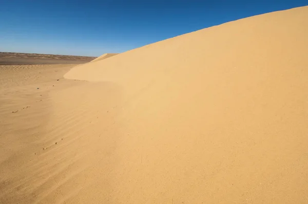 Paysage Désertique Dans Sahara Occidental — Photo