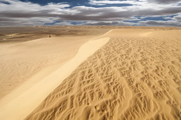 Woestijnlandschap Het Westen Van Sahara — Stockfoto