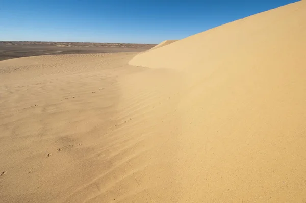 Woestijnlandschap Het Westen Van Sahara — Stockfoto