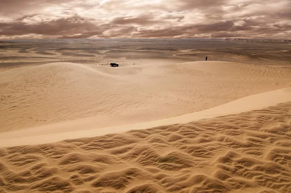 Paisaje Desértico Sahara Occidental — Foto de Stock