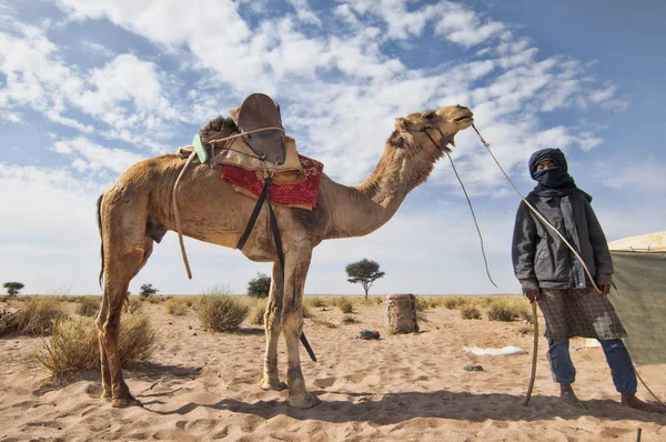 Tuareg — Stockfoto
