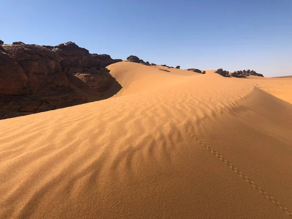 Duin Landschap Woestijn Het Westen Van Sahara — Stockfoto