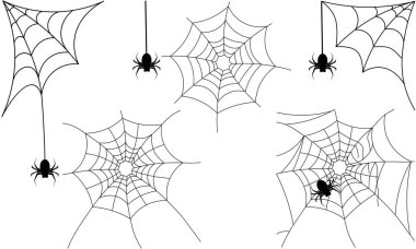 Örümcek web kümesi. Beyaz arka plan üzerinde izole vektör çizim