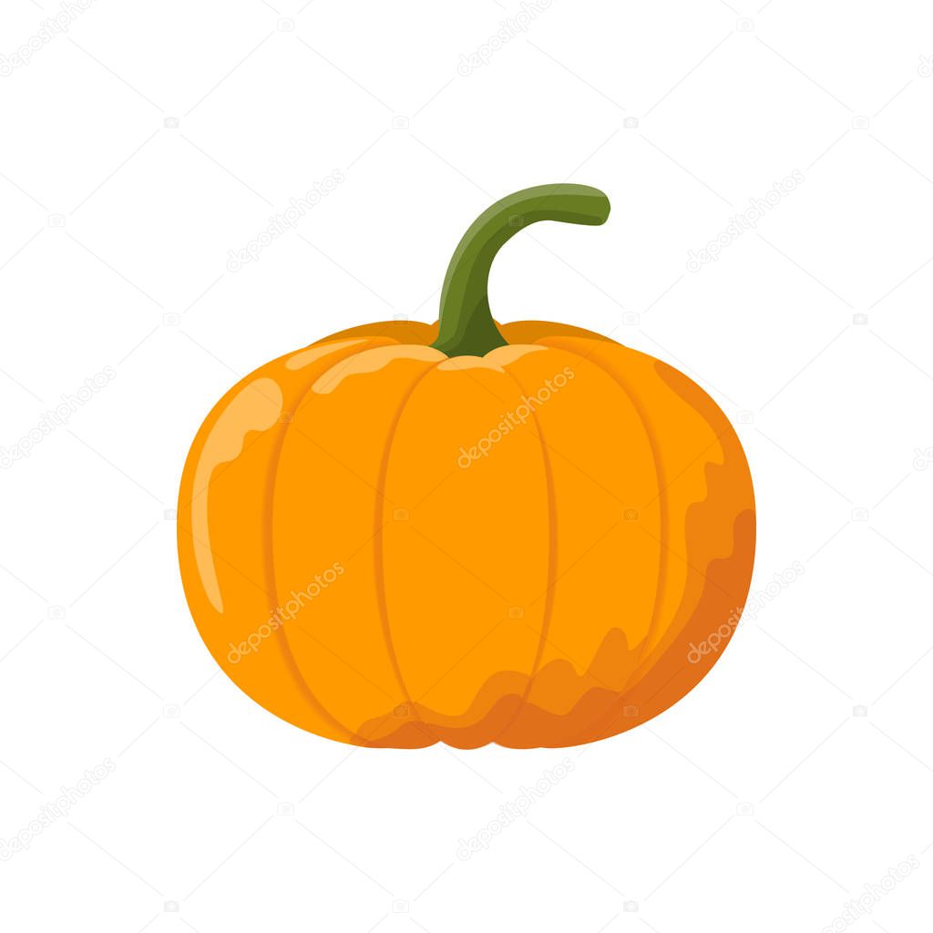 Cartoon pumpkin icon. Isolated Vector illustration on white background.