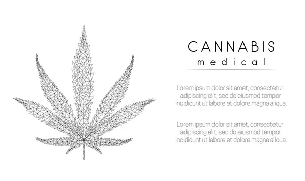 Tıbbi kenevir. Marihuana yaprağı. Düşük poli biçimi tasarımı.