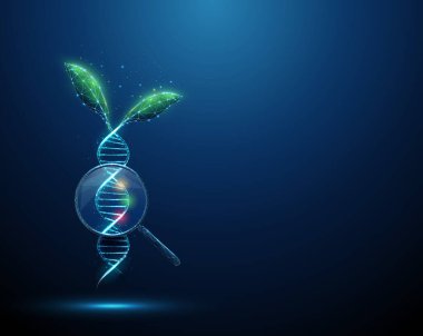 Üç renkli lekeli büyüteç altında mavi bir 3 boyutlu DNA sarmalından büyüyen yeşil bitki yaprakları. Moleküler biyoloji, sürdürülebilir tarım kavramı. Düşük poli dijital fütüristik kablo taşıyıcı.