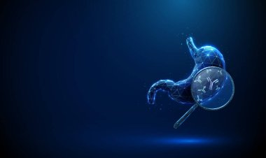 İçinde büyüteç ve antikorlar olan 3D mavi insan midesi. Bağışıklık sistemi tepkisi, mide sağlığı analizi, iltihaplanma sağlık konsepti. Düşük polyester dijital fütüristik stil, kablo çerçevesi. Vektör.