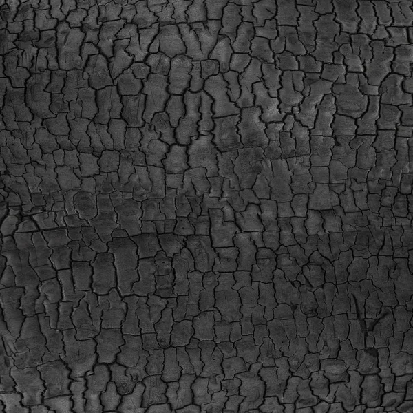 Чорний Гранжевий Фон Обпаленої Текстури Деревини — стокове фото