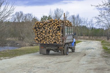Ahşap günlükleri ormandaki dirti yolda günlük araba tarafından sanat eseri