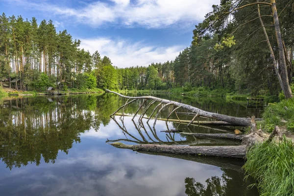 Lac Forestier Avec Réflexion Dans Eau Lieu Été Avec Tonnelle — Photo
