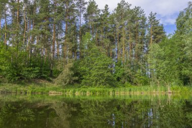 Orman Gölü su yansıması ile. Yaz relax arka plan