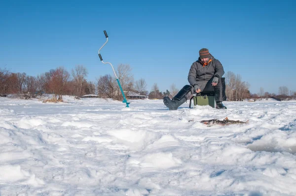 Winter Ice Fishing Fisherman Action Catching Perch Fish — Stock Photo, Image