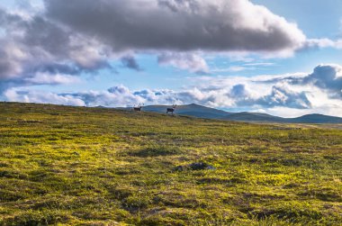 Dağ manzarası çayır ve Norveç'te gökyüzü