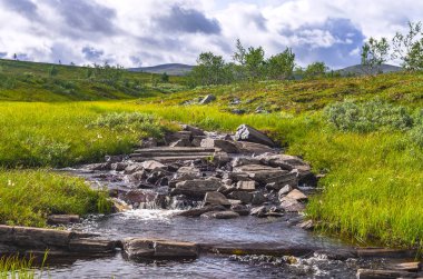 Taşlı nehir akarsu yaz Norveç dağlarında