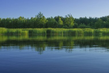 Lake shore yansıması ile basit peyzaj