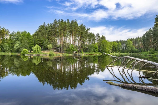 Waldsee Mit Reflexion Wasser Sommerplatz Mit Laube Zum Angeln Und — Stockfoto