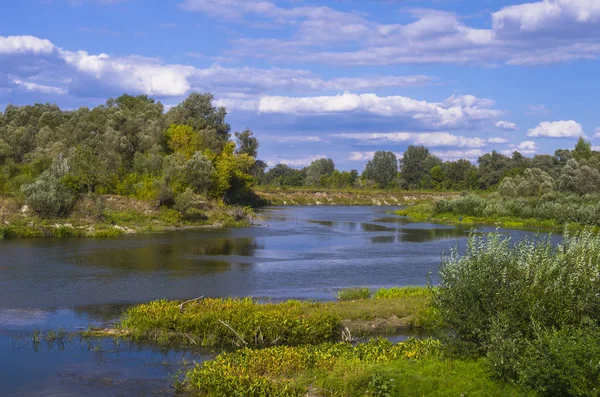 Yeşil orman güzel nehirde. İle bulutlu gökyüzü manzara