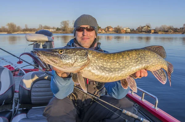 Glad Fiskare Med Stora Gäddor Fisk Trophy Båten Med Fiske — Stockfoto