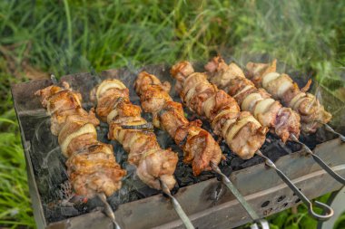 Üzerinde pişmiş şiş üzerinde barbekü et mangal Barbekü. piknik ile açık mutfak.