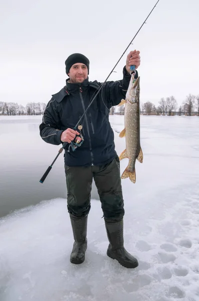 Vinterfiske Med Spinning Fiskare Med Gädda Fiskar Trophy — Stockfoto