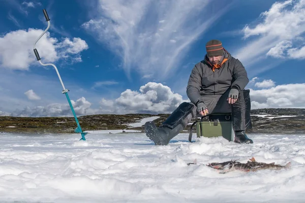 Winter Fishing Background Fisherman Action Catching Perch Fish Snowy Ice — Stock Photo, Image