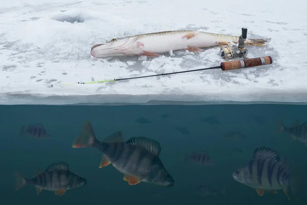 Inverno Fundo Pesca Gelo Pique Neve Pegando Peixes Poleiro Gelo — Fotografia de Stock