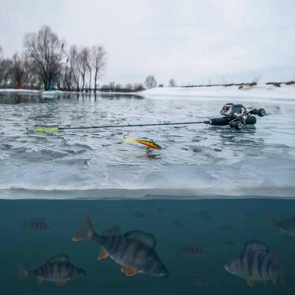 Inverno Fundo Pesca Gelo Pique Neve Pegando Peixes Poleiro Gelo — Fotografia de Stock