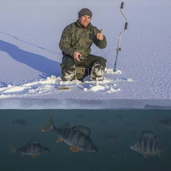 Conceito Pesca Inverno Pescador Acção Pegando Peixes Poleiro Gelo Nevado — Fotografia de Stock