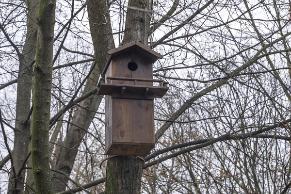 Nichoir Bois Avec Mangeoire Oiseaux Suspendue Arbre Dans Parc Ville — Photo