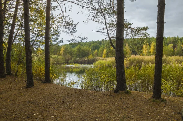 Kleiner See Wald Herbst — Stockfoto